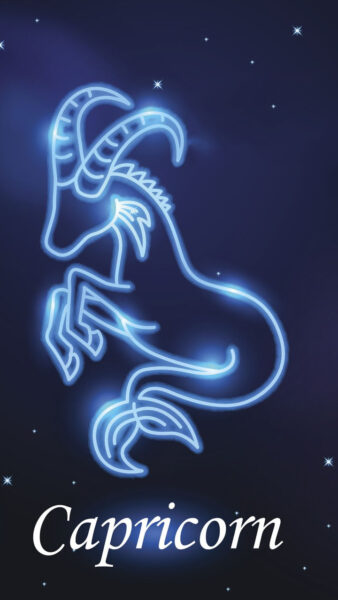 Hình ảnh cung Ma Kết thu hút