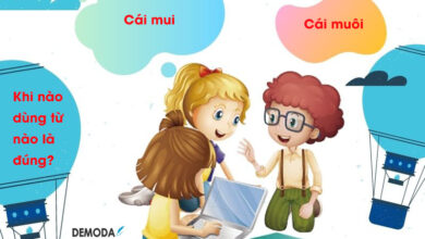 cái mui hay cái muôi Khi nào dùng từ nào là đúng