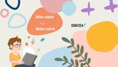 Dãn cách hay Giãn Cách