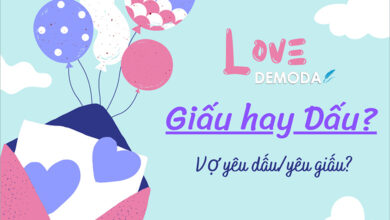 Giấu hay Dấu là gì