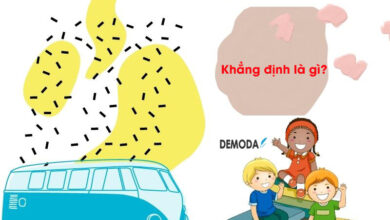 Khẳng định là gì