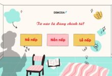 Nề nếp hay Nền nếp hay Lề nếp