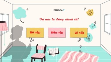 Nề nếp hay Nền nếp hay Lề nếp