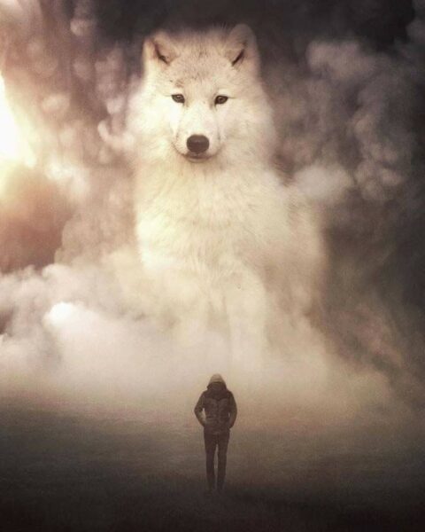 Hình ảnh con sói tượng trưng cho bản chất bí ẩn của con người