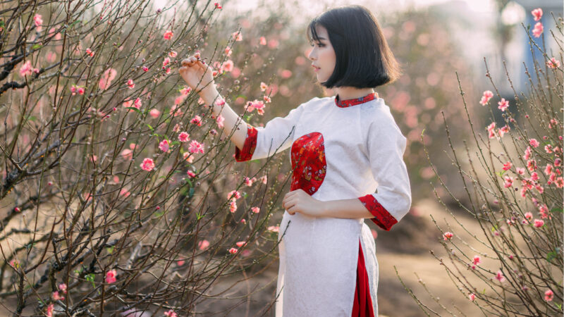 Hình nền gái xinh hd bên hoa đào