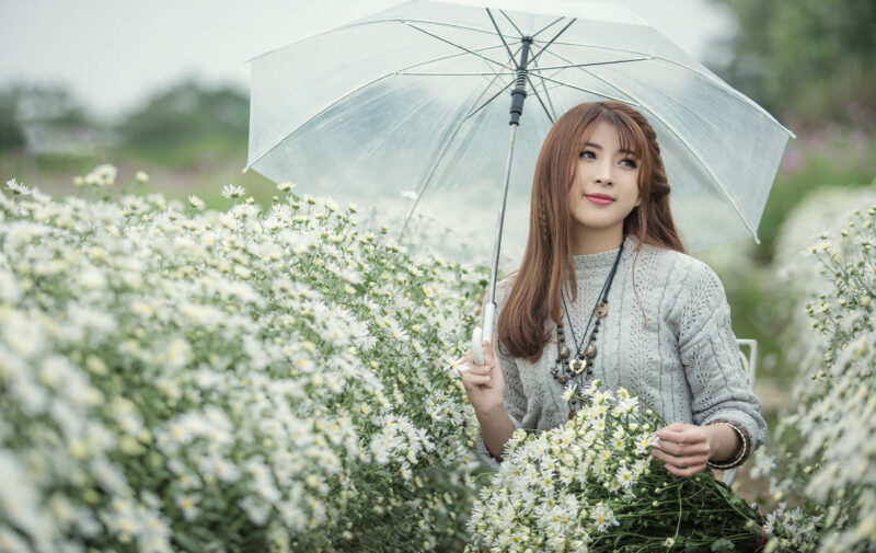 Hình nền gái xinh hd cầm ô