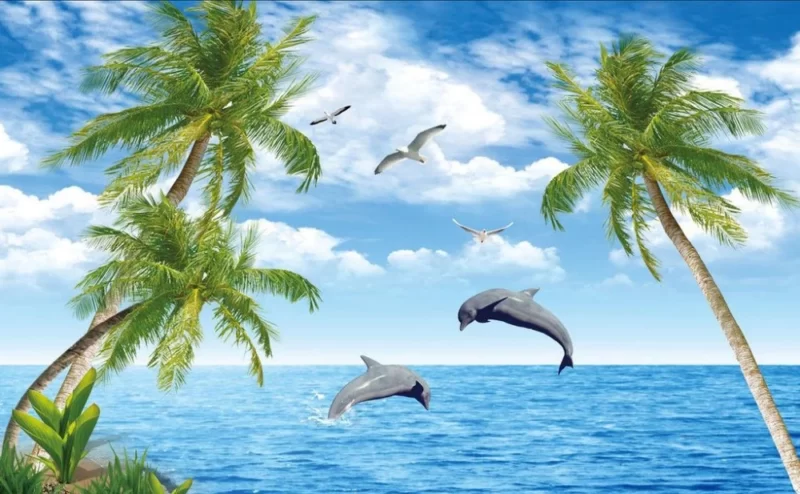 Schöne Fotos von Delfinen am Strand