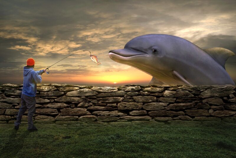 Delfin- und Menschenfoto - Collage
