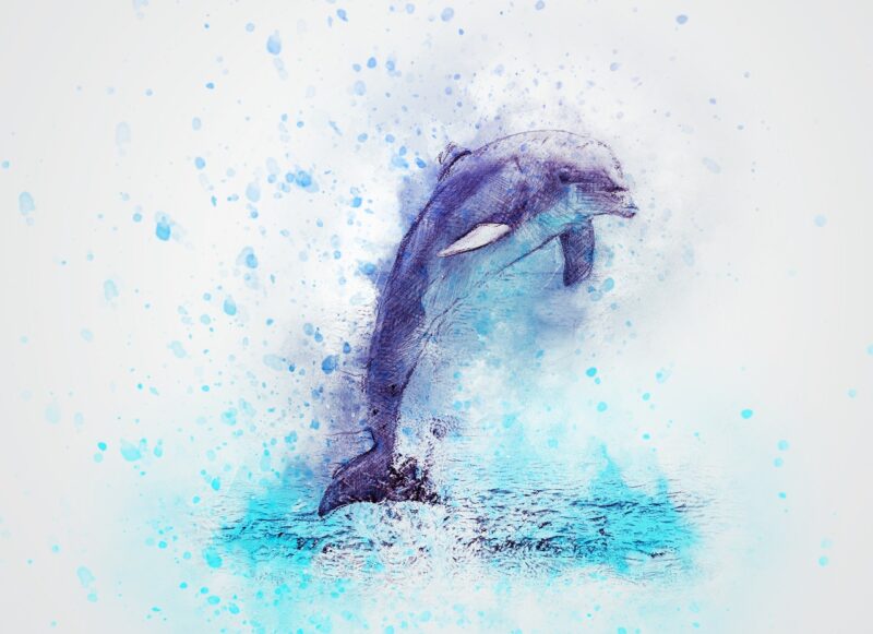 Schöne Bilder von Delphinen, die mit einem Kugelschreiber gezeichnet wurden