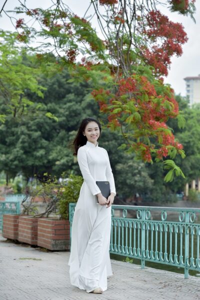 ảnh cây phượng vĩ gắn với tuổi học trò