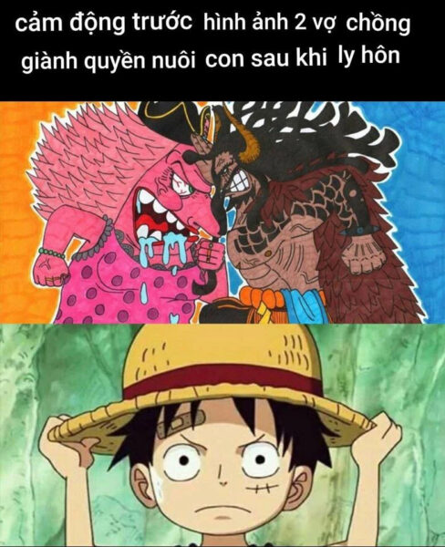 ảnh chế One Piece hài hước