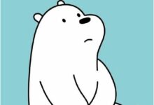 ảnh gấu trắng buồn