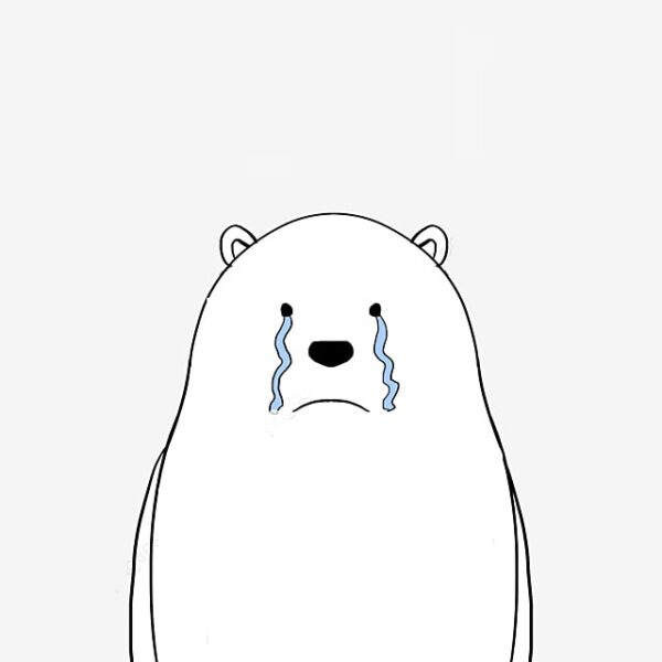 ảnh gấu trắng buồn khóc