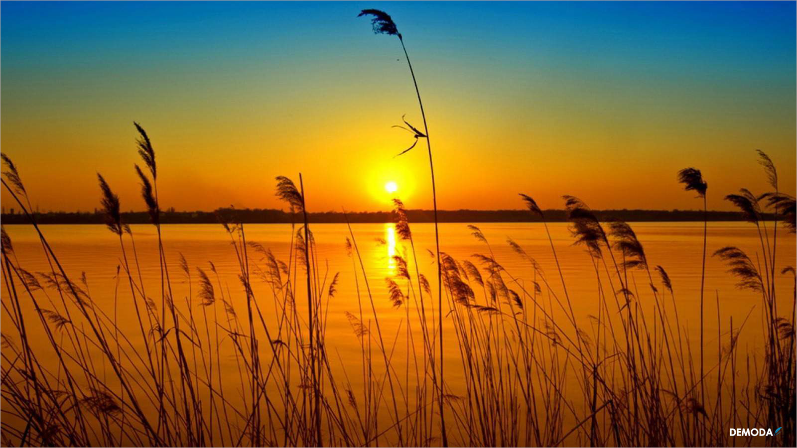Sammlung der 100 schönsten Sonnenuntergangsbilder Full HD