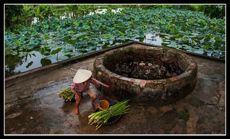 ảnh làng quê Việt Nam yên bình và giản dị
