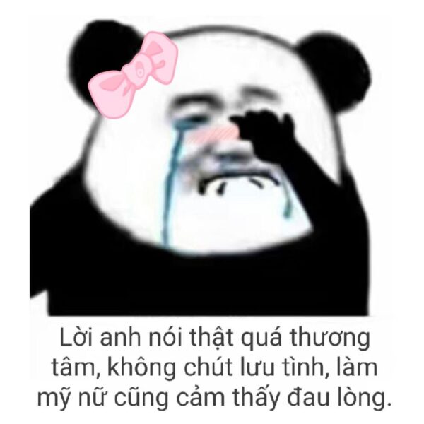 ảnh Meme gấu trúc weibo khóc cười