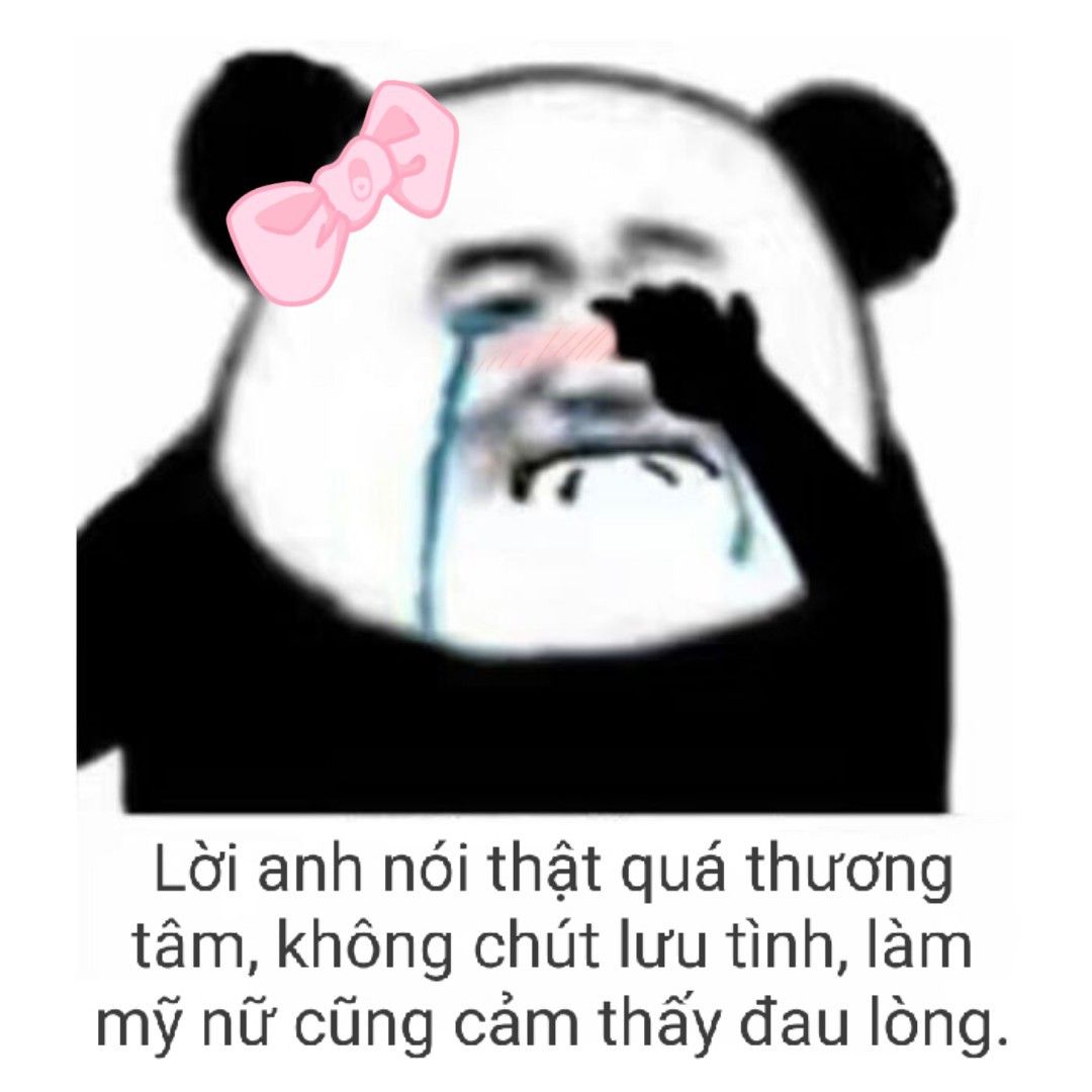 Mua sticker set 60 ảnh Meme Gấu Trúc bựa cute hài hước tại MPPshop