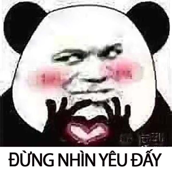 ảnh Panda meme gấu trúc Weibo