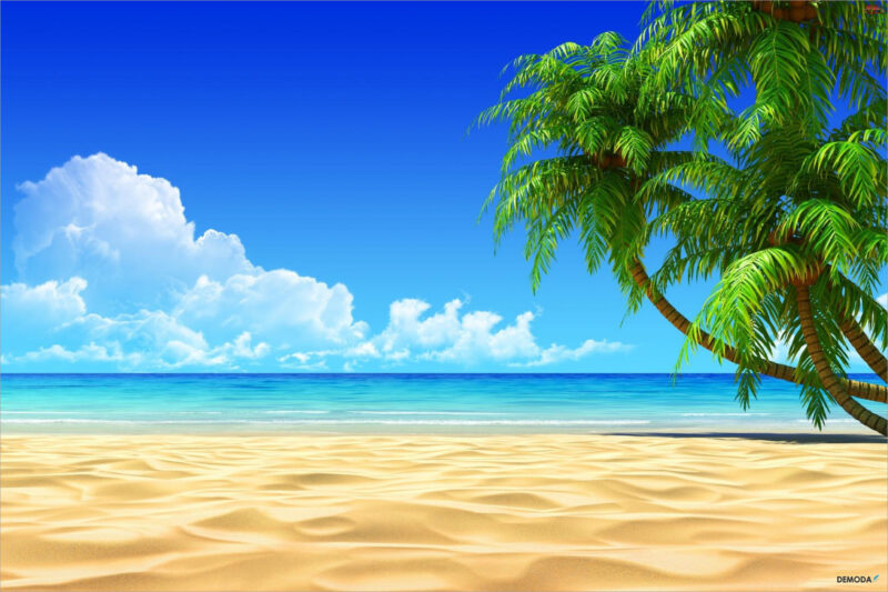 Background biển - Beach