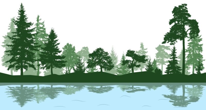 Background cây xanh soi bóng xuống hồ
