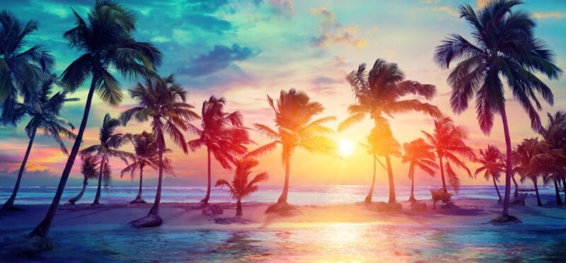 Palmen-Silhouetten am Strand von Guadalupe bei Sonnenuntergang