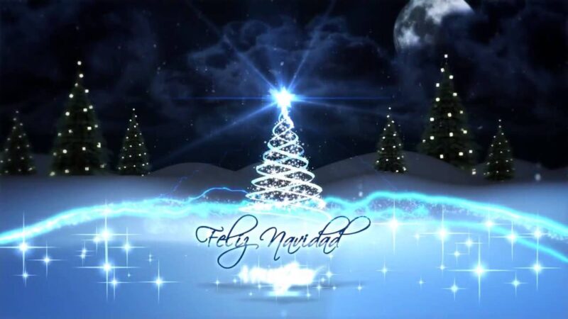 Background giáng sinh cây thông tuyết màu xanh