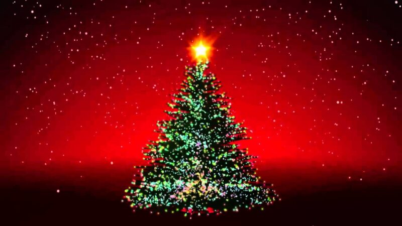 Background giáng sinh cây thông xanh ở giữa