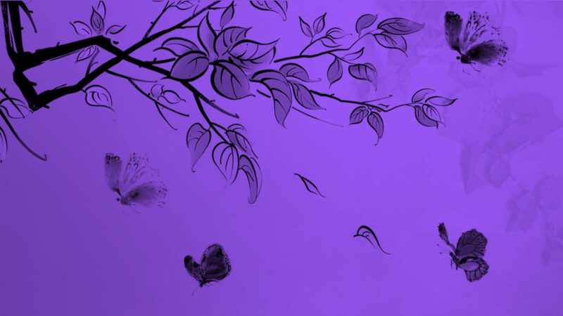 Background tím bức tranh tím và đen