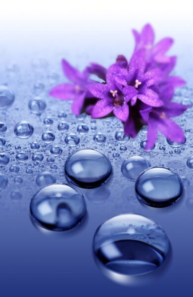 Background tím hoa và nước