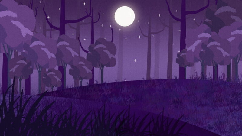 Background rừng cọ tím về đêm