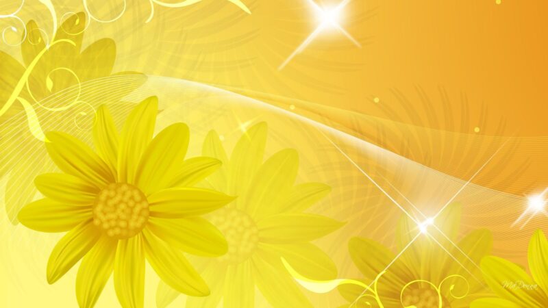 Background vàng hoa cúc