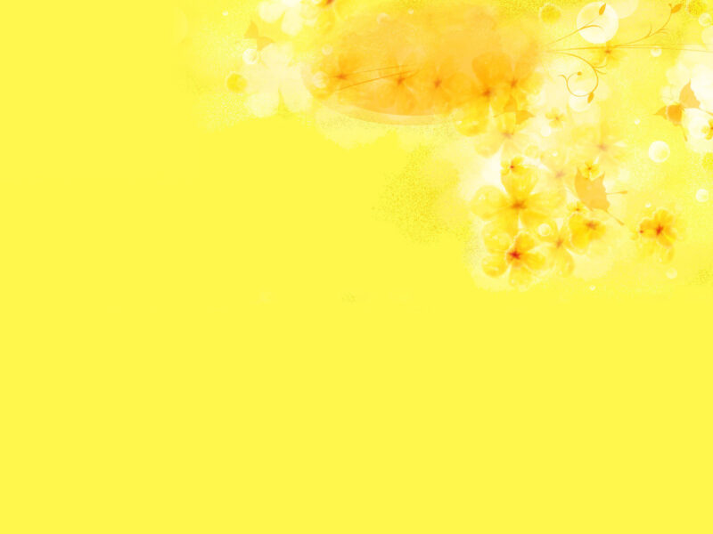 Background vàng hoa mai