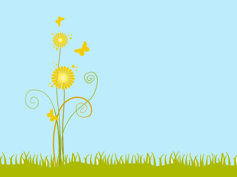 Background xanh dương nhạt và cây hoa vàng