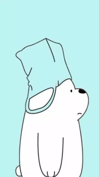 Hình ảnh avatar gấu nền xanh