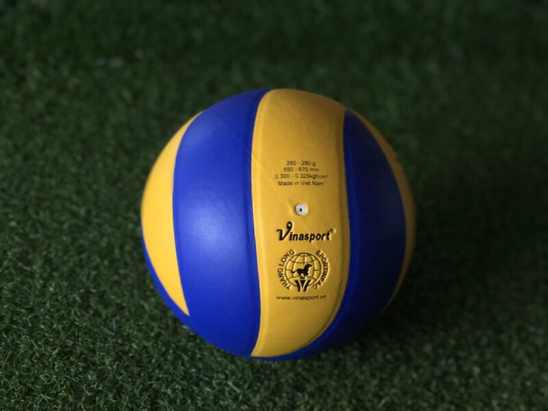 Hình ảnh bóng chuyền trên cỏ