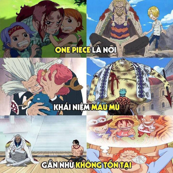Hình ảnh chế One Piece - không có máu mủ