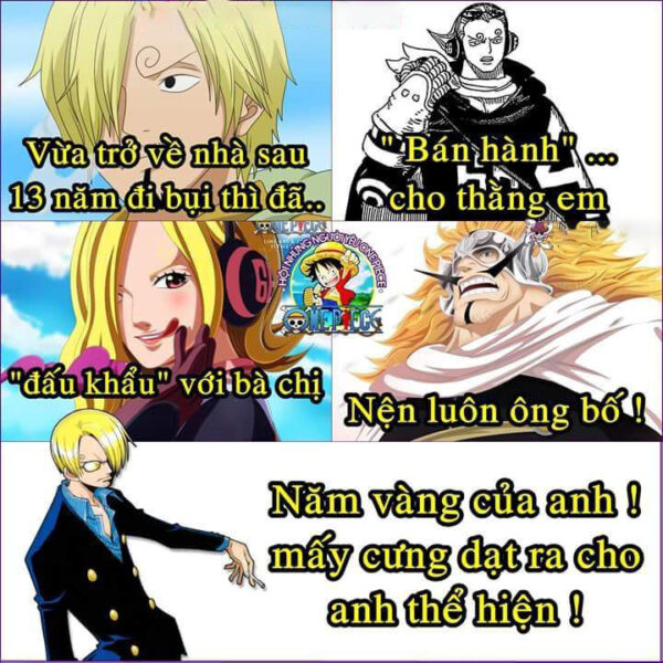 Hình ảnh chế One Piece - năm vàng của Sanji