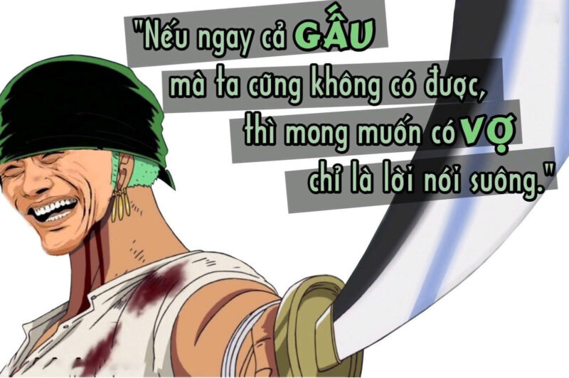 Hình ảnh chế One Piece - Zoro và Gấu