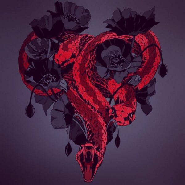 Hình ảnh con rắn bên hoa anh túc