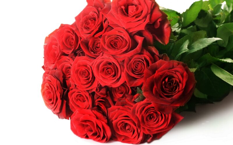 Hình ảnh Hoa chào ngày mới với bó hoa hồng cực đẹp