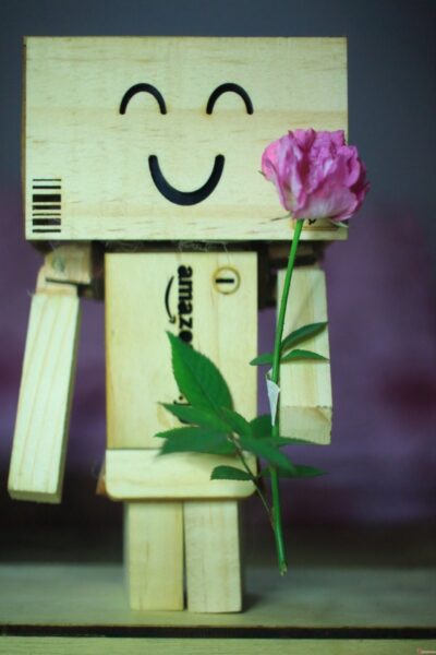 Hình ảnh người gỗ cầm hoa