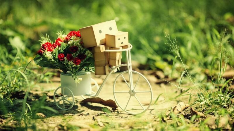 Hình ảnh người gỗ đạp xe