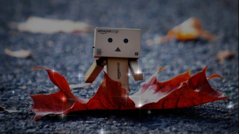 Hình ảnh người gỗ đứng trên lá phong đỏ