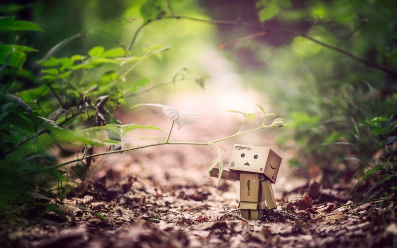 Hình ảnh người gỗ nắm cành cây