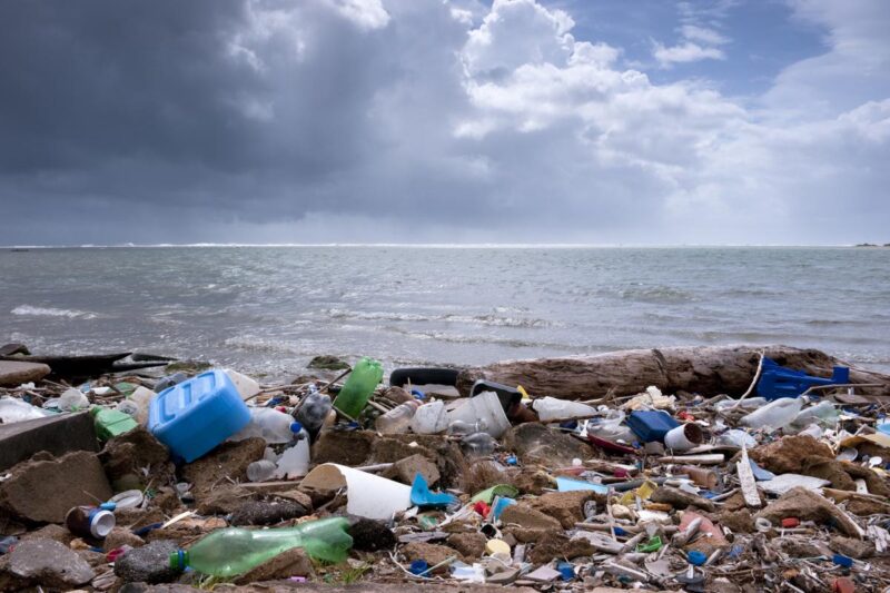 Bilder der Meeresverschmutzung