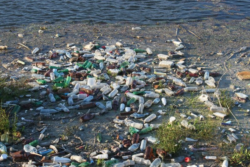 Hình ảnh ô nhiễm nước và đất do rác