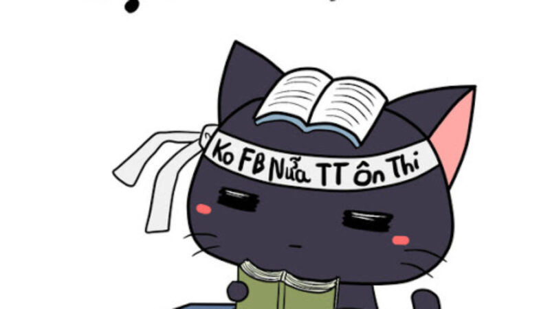 Hình ảnh ôn thi mèo đen