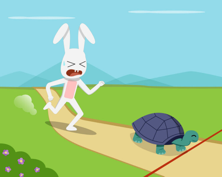 Hình ảnh rùa và thỏ- câu chuyện chủ quan của bạn thỏ