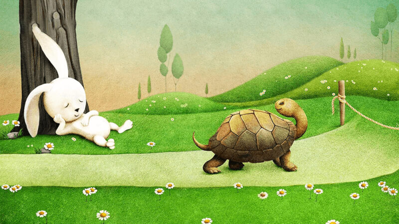 Hình ảnh rùa và thỏ - bạn thỏ đang ngủ