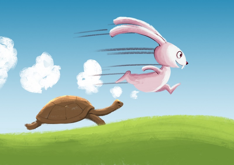 Hình ảnh rùa và thỏ thi chạy